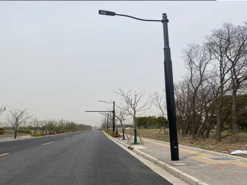 莱州市上海综合杆 太阳能路灯工程